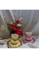 Pervil Porselen El Boyama 2li Fincan Takımı